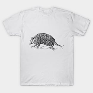 Armadillo walking along T-Shirt